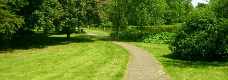 “The best part was Kevin spending the time teaching me how to care for my trees on a hands-on basis.”   — Paul